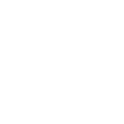 EVOLVAI Logo